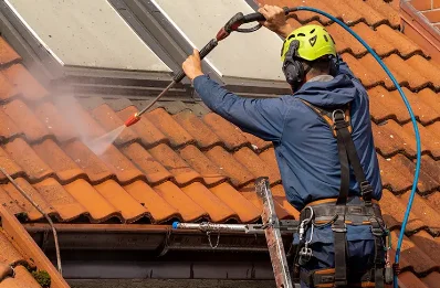 Démoussage et hydrofuge de toiture à Moreilles